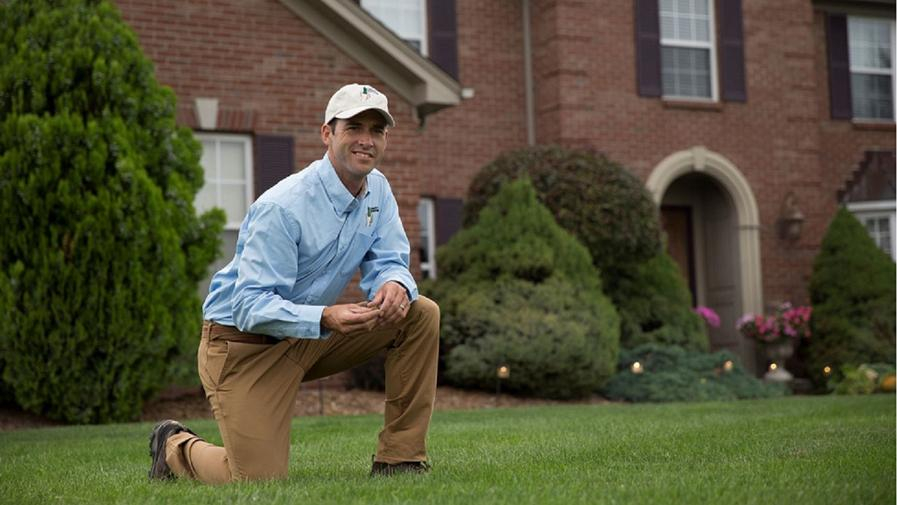 Cover photo of Lawn Doctor of Boston